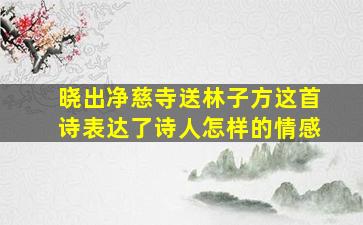 晓出净慈寺送林子方这首诗表达了诗人怎样的情感