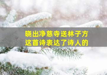 晓出净慈寺送林子方这首诗表达了诗人的