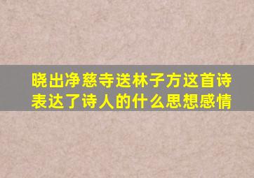 晓出净慈寺送林子方这首诗表达了诗人的什么思想感情