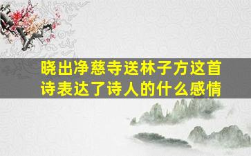 晓出净慈寺送林子方这首诗表达了诗人的什么感情