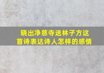 晓出净慈寺送林子方这首诗表达诗人怎样的感情