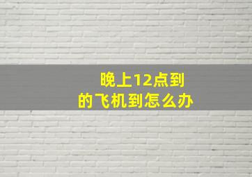 晚上12点到的飞机到怎么办