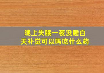 晚上失眠一夜没睡白天补觉可以吗吃什么药