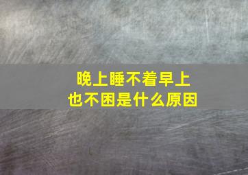 晚上睡不着早上也不困是什么原因