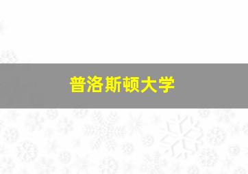 普洛斯顿大学