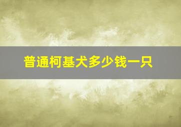 普通柯基犬多少钱一只