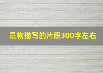 景物描写的片段300字左右