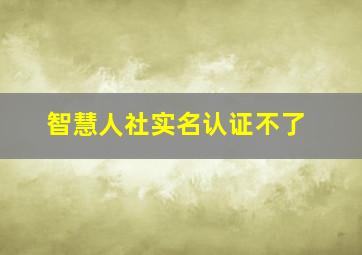 智慧人社实名认证不了