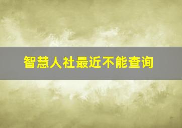 智慧人社最近不能查询