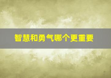 智慧和勇气哪个更重要