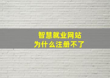 智慧就业网站为什么注册不了