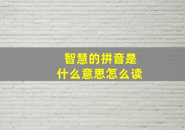 智慧的拼音是什么意思怎么读