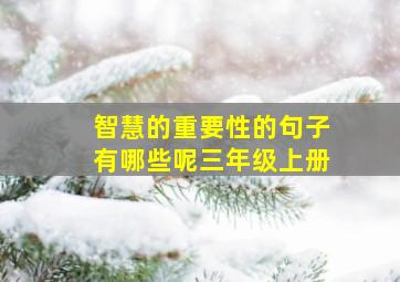 智慧的重要性的句子有哪些呢三年级上册