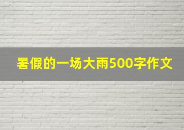 暑假的一场大雨500字作文