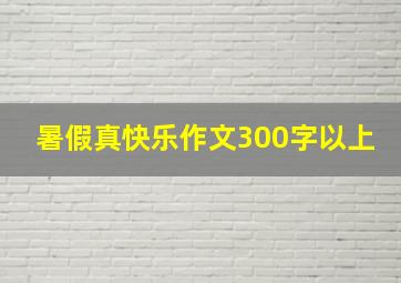 暑假真快乐作文300字以上