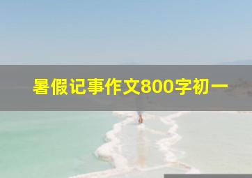 暑假记事作文800字初一