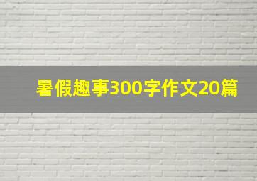 暑假趣事300字作文20篇