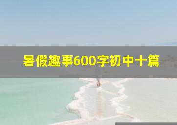 暑假趣事600字初中十篇