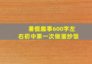 暑假趣事600字左右初中第一次做蛋炒饭