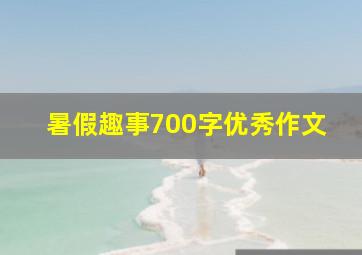 暑假趣事700字优秀作文