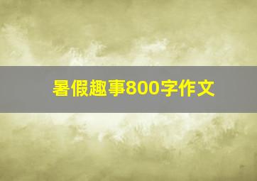 暑假趣事800字作文