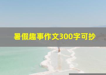 暑假趣事作文300字可抄