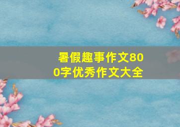 暑假趣事作文800字优秀作文大全