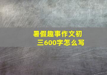 暑假趣事作文初三600字怎么写