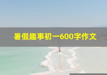 暑假趣事初一600字作文