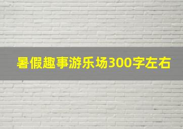 暑假趣事游乐场300字左右