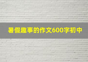 暑假趣事的作文600字初中