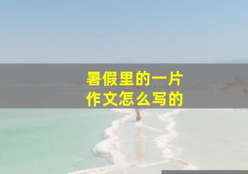 暑假里的一片作文怎么写的