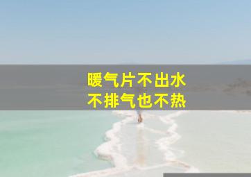 暖气片不出水不排气也不热