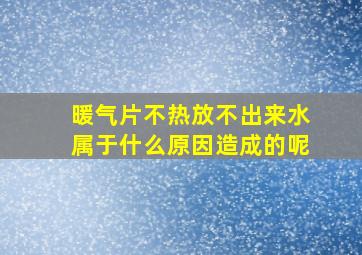 暖气片不热放不出来水属于什么原因造成的呢