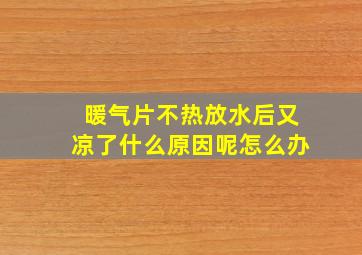 暖气片不热放水后又凉了什么原因呢怎么办