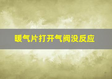 暖气片打开气阀没反应