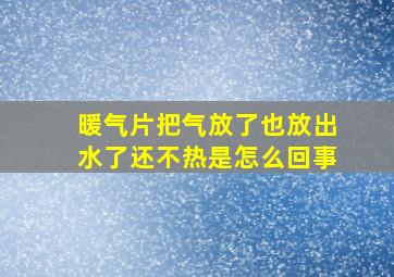 暖气片把气放了也放出水了还不热是怎么回事