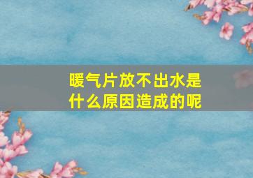 暖气片放不出水是什么原因造成的呢