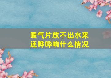 暖气片放不出水来还哗哗响什么情况