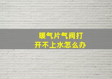 暖气片气阀打开不上水怎么办