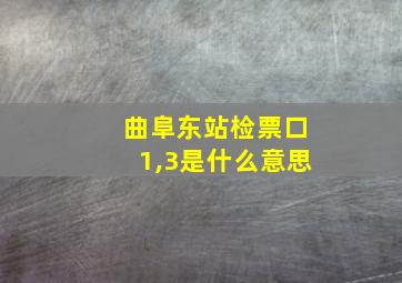 曲阜东站检票口1,3是什么意思