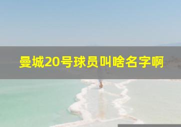 曼城20号球员叫啥名字啊