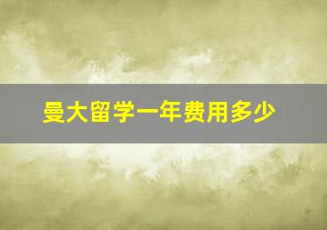 曼大留学一年费用多少