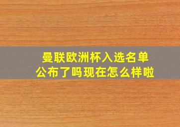 曼联欧洲杯入选名单公布了吗现在怎么样啦