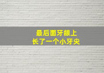 最后面牙龈上长了一个小牙尖