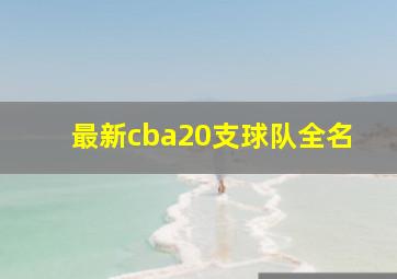 最新cba20支球队全名