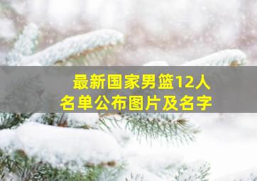 最新国家男篮12人名单公布图片及名字