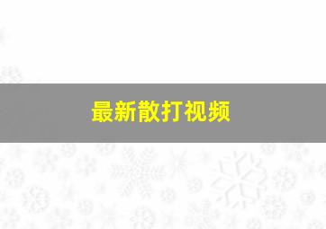 最新散打视频