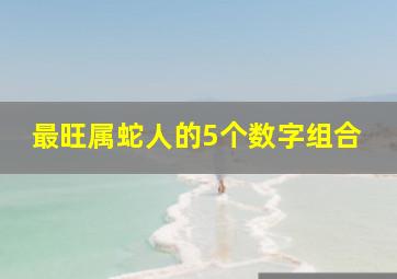 最旺属蛇人的5个数字组合