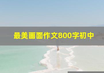 最美画面作文800字初中